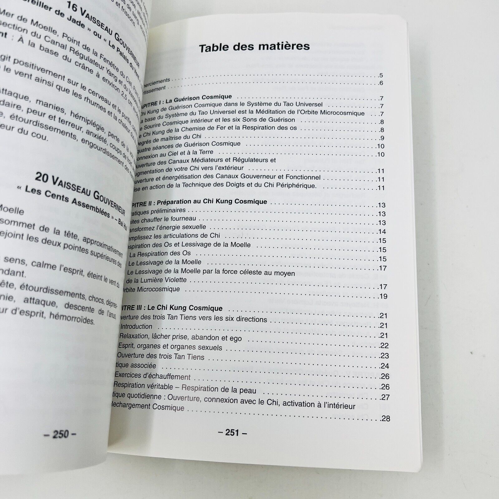 2002 Guérison par le Chi Kung Taoïste de Mantak Chia Français/French Trédaniel