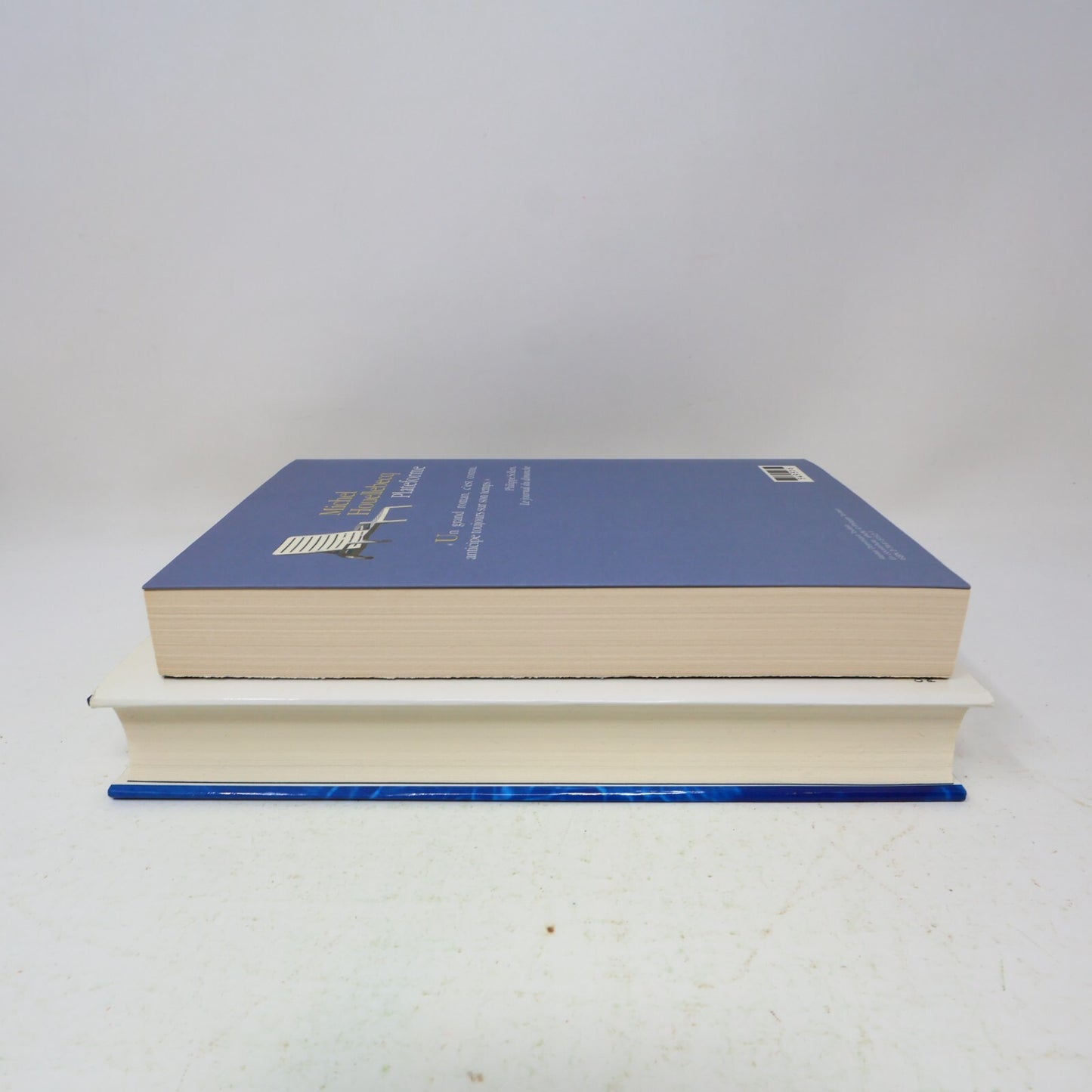 Michel Houellebecq Lot 2 Livres Les Particules Élémentaires/Plateforme Français