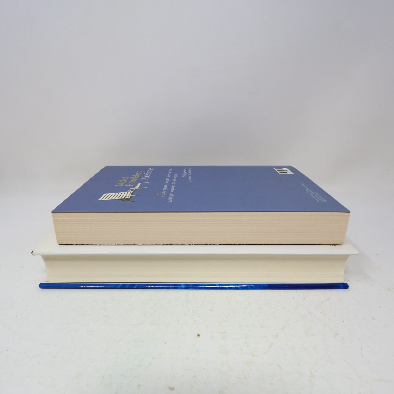 Michel Houellebecq Lot 2 Livres Les Particules Élémentaires/Plateforme Français