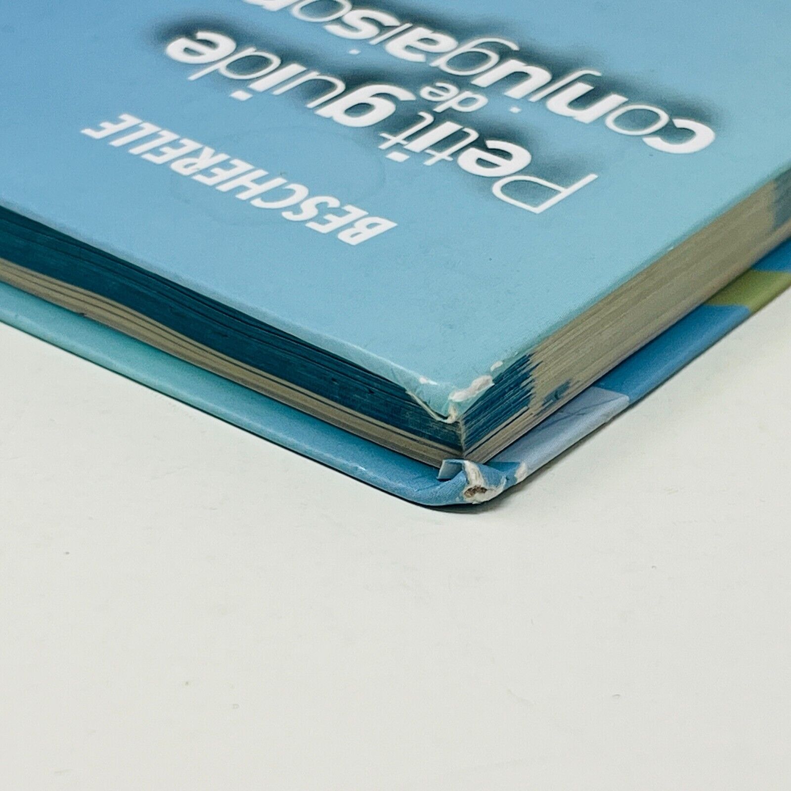 Bescherelle Petit Guide De Conjugaison Junior Livre Hurtubise Grammaire Verbes