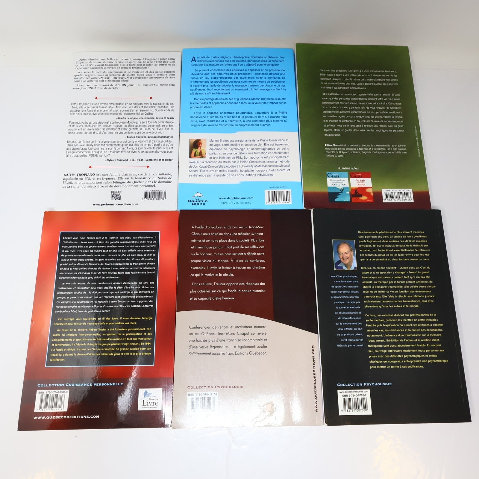 Développement Personnel Santé Mentale Psychologie Lot 10 Livres Français French