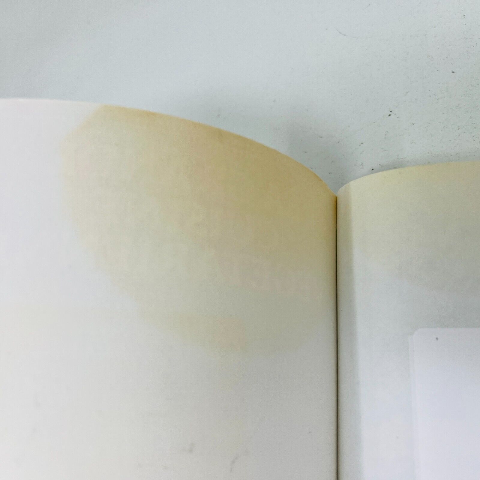 La Grande Cuisine Végétarienne 1-2 Stanké Vicki Chelf Hudon Lot Livres Recettes