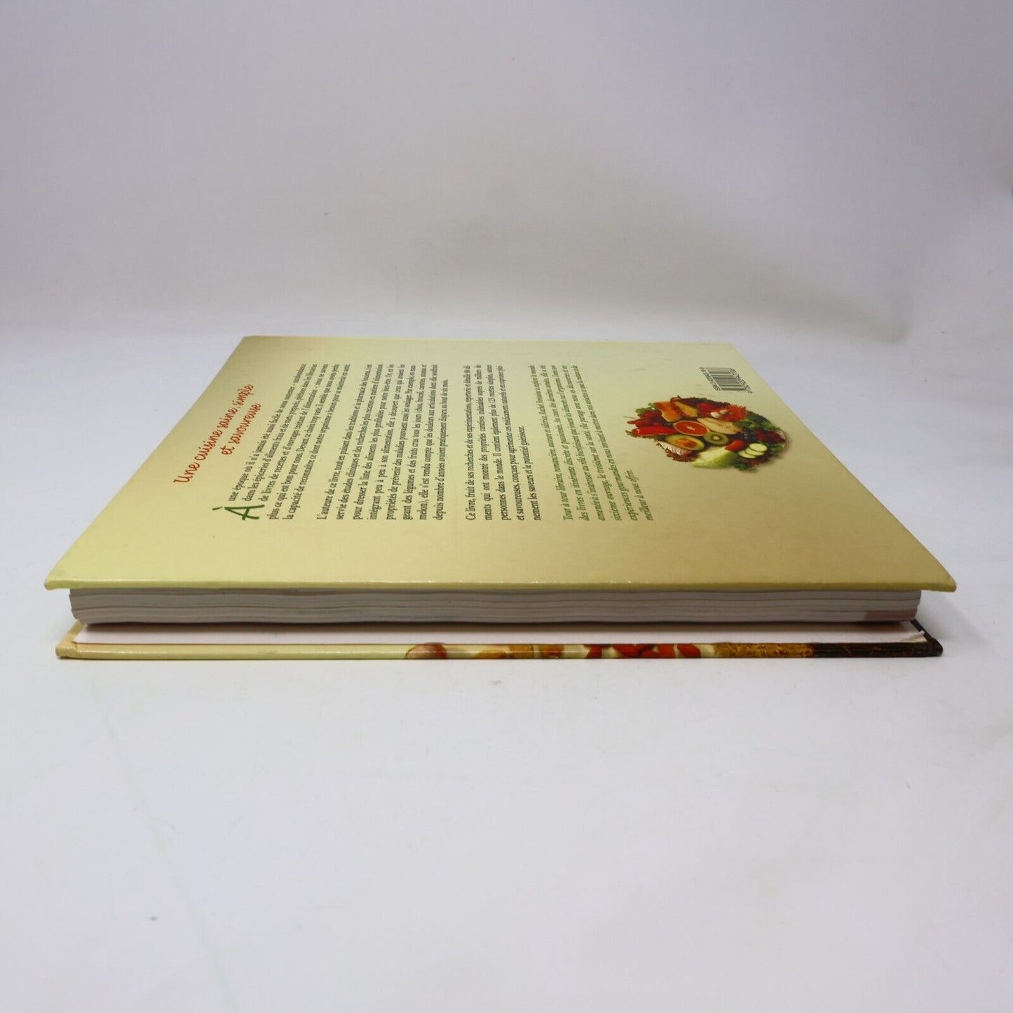 2006 La Guérison dans Votre Assiette de Rachel Fontaine Cuisine Recettes Santé