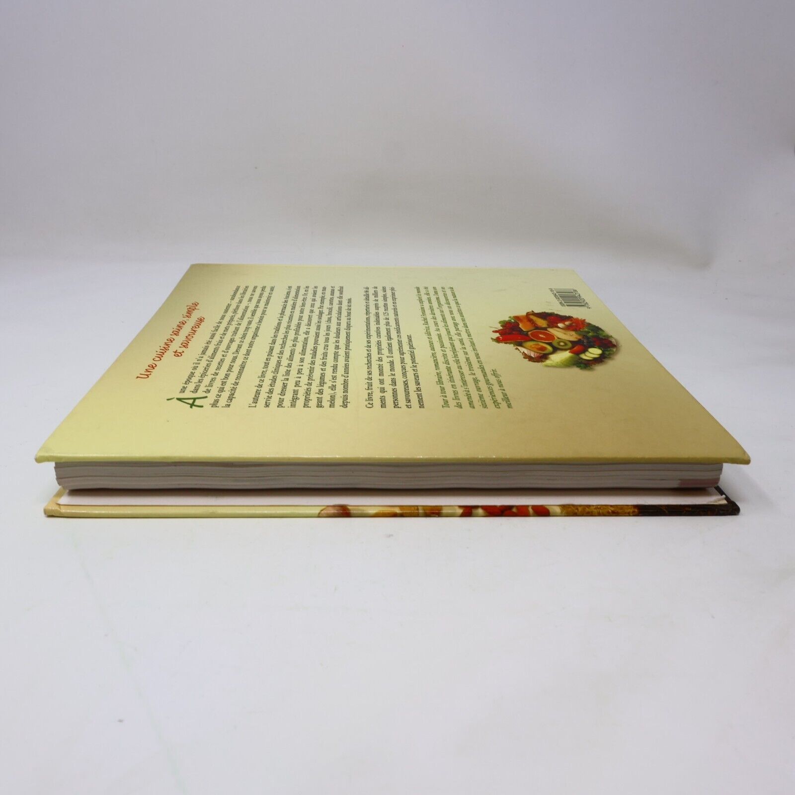2006 La Guérison dans Votre Assiette de Rachel Fontaine Cuisine Recettes Santé