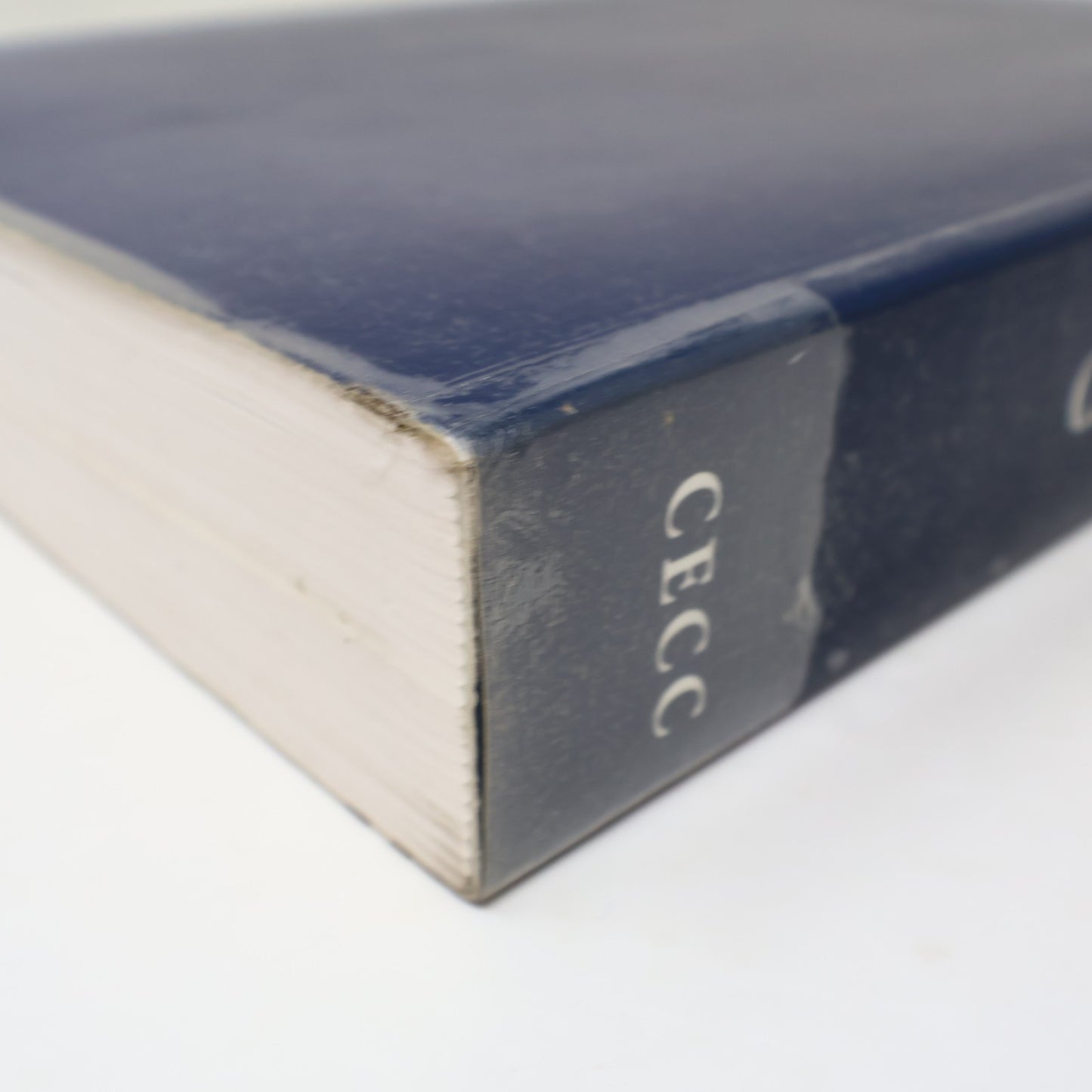 Catéchisme de l'Église Catholique Cecc 1993 PB Français French Religion Livre