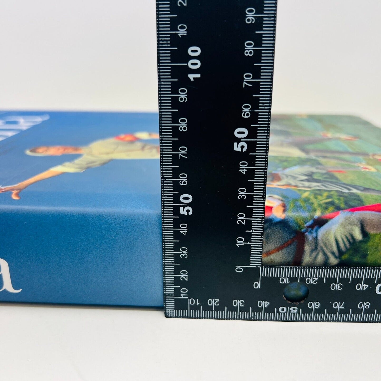 2008 China Portrait of a Country by Liu Heung Shing HC DJ Tashen English/French
