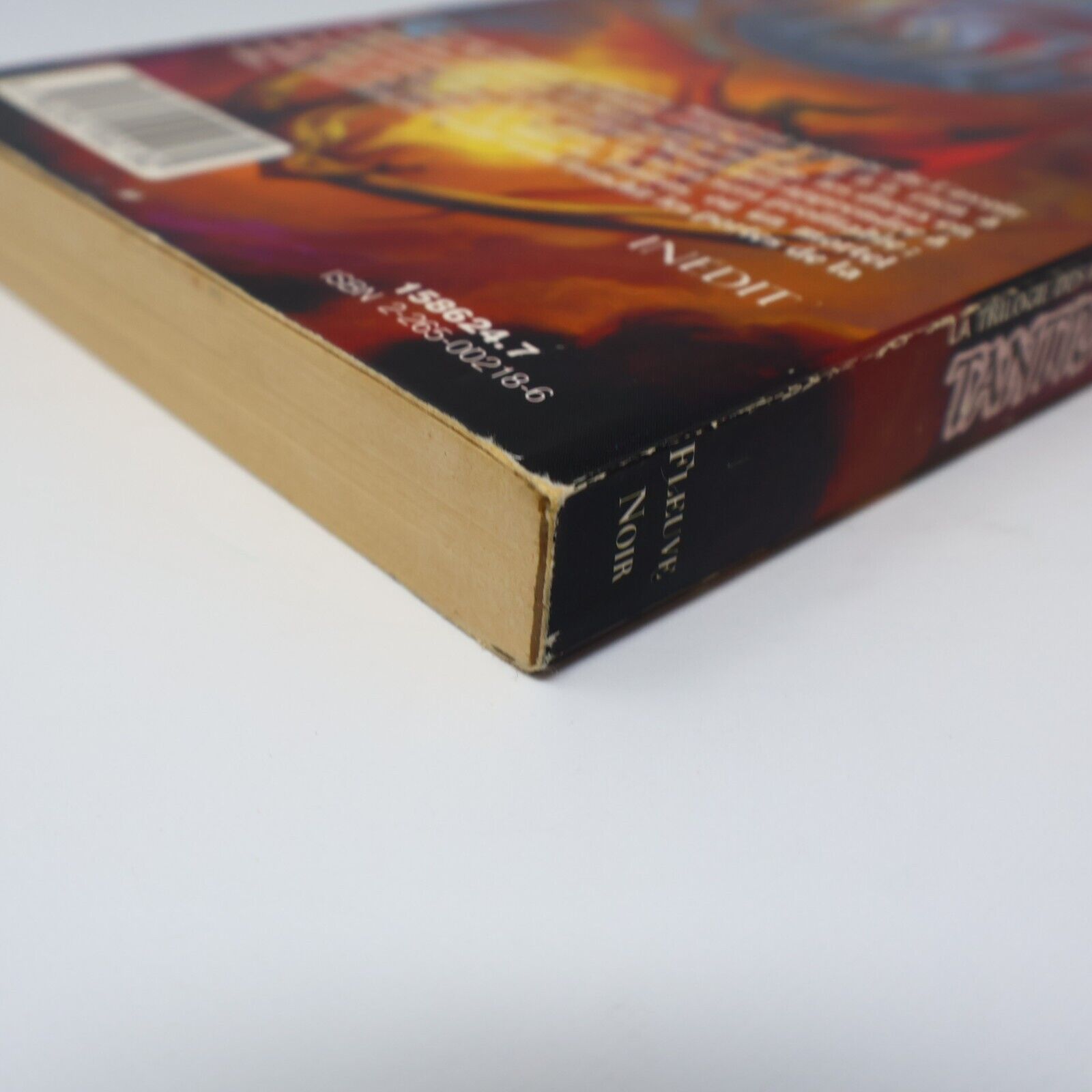 1994 Tantras Royaumes Oubliés #2 de Richard Awlinson La Trilogie des Avatars PB