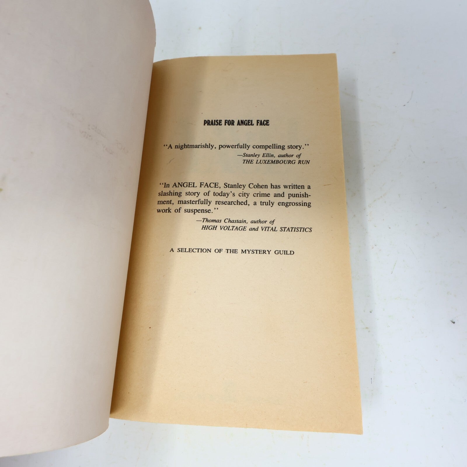 1983 Angel Face Stanley Cohen Charter Mystery Thriller Crime Paperback Book 80s