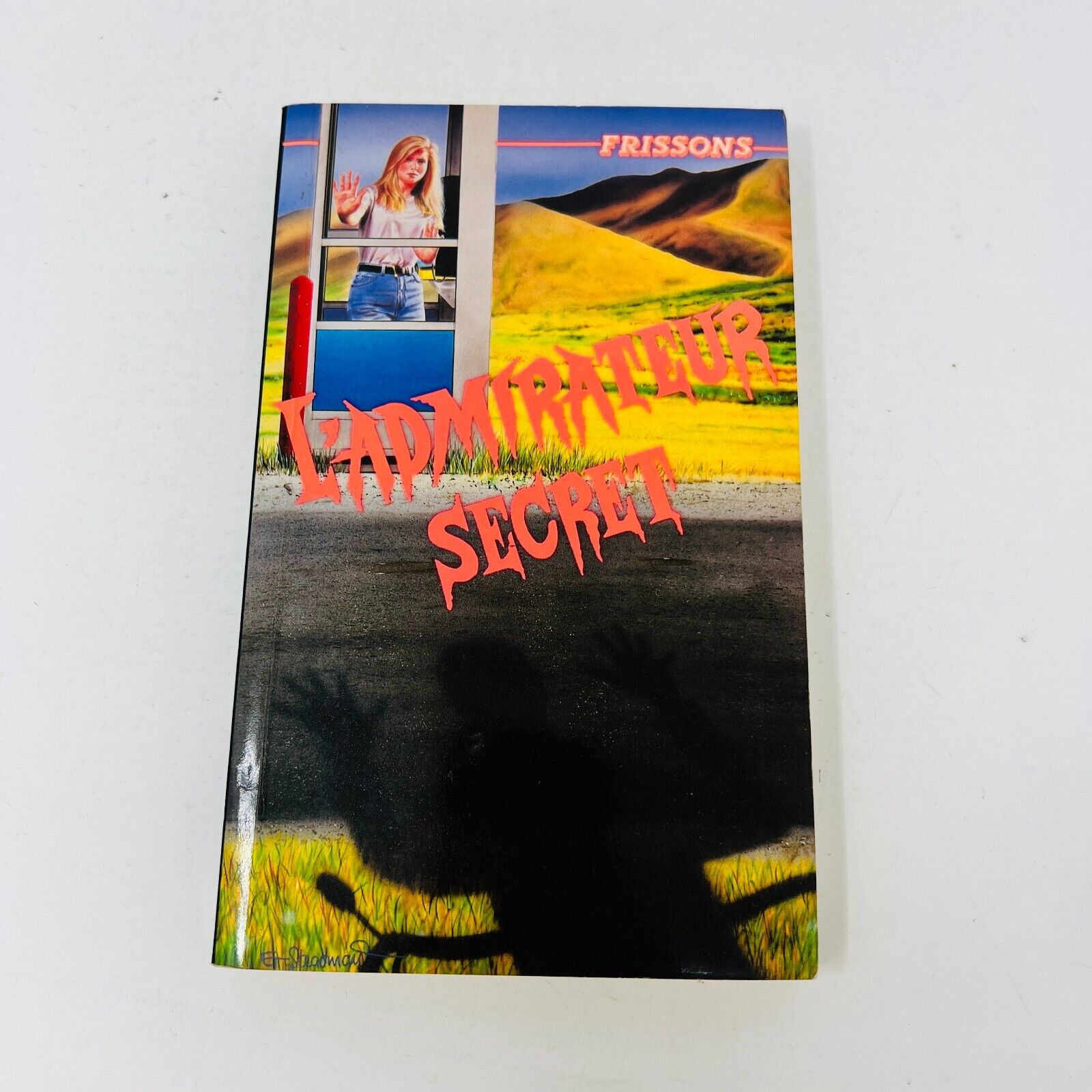 17x Frissons EH Lot Livres Quel Rendez-Vous!/L'Accident/Chalet Maudit Stine