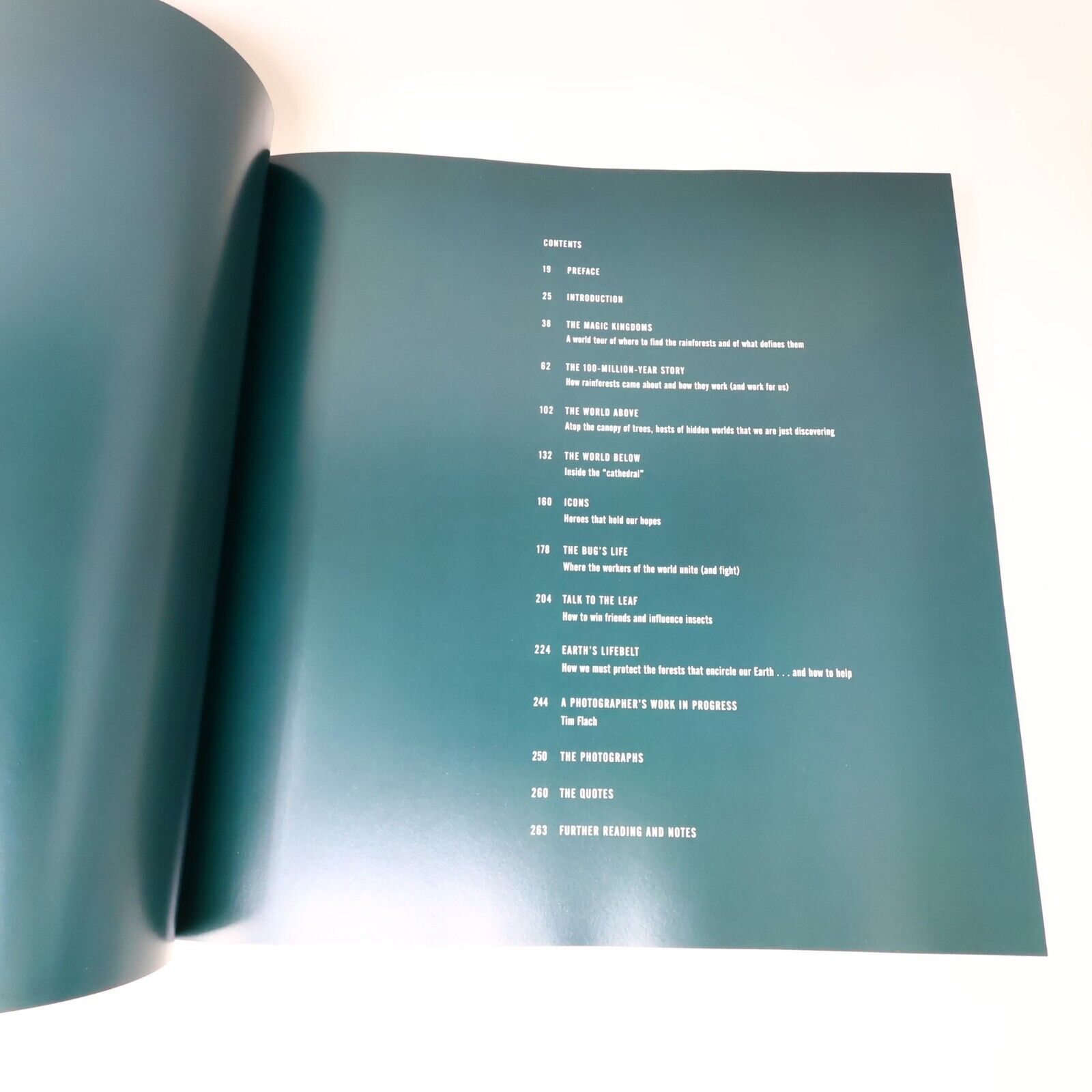 2014 Rainforest by Lewis Blackwell Nature Photos Harry N. Abrams Book Hardcover