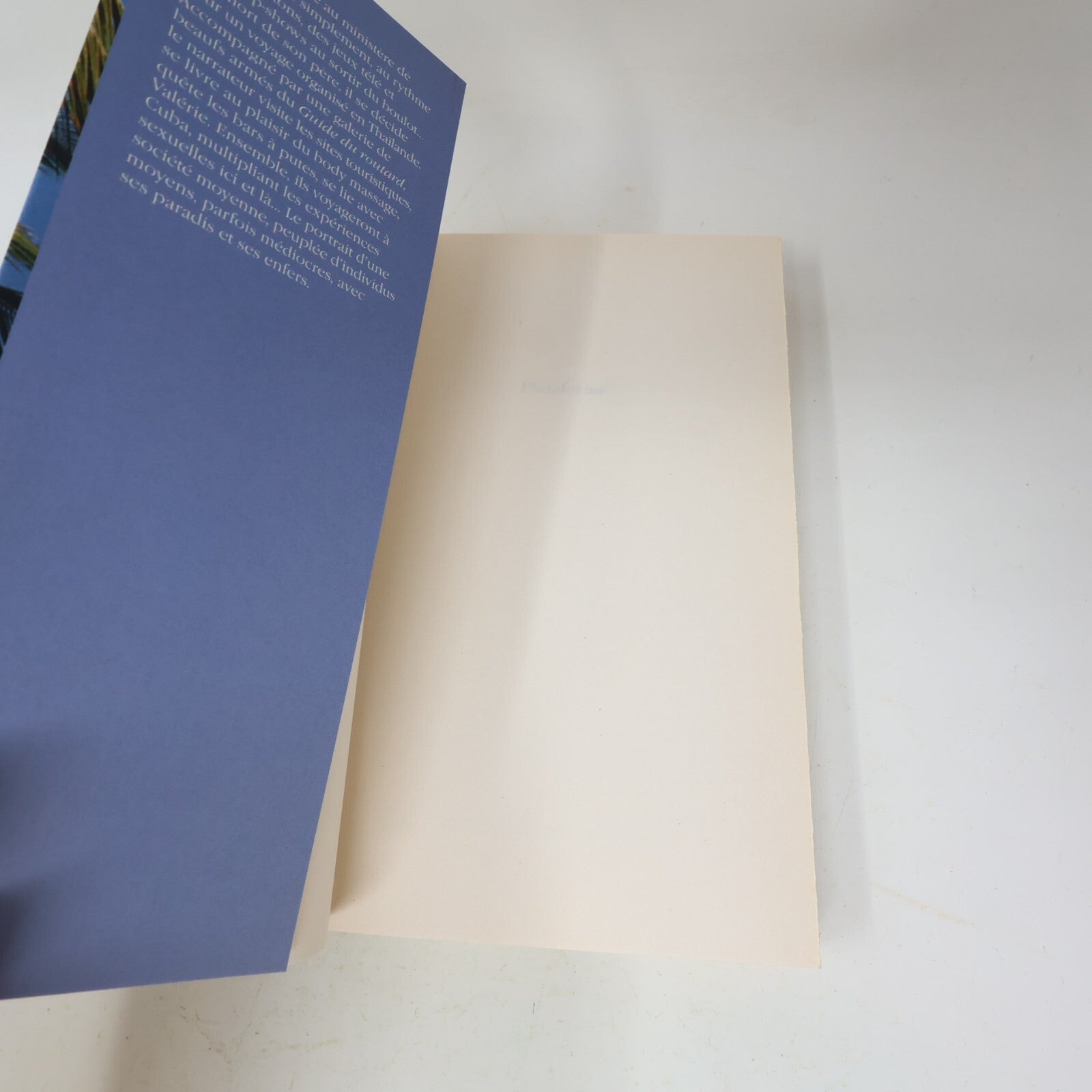 Michel Houellebecq Lot 2 Livres Les Particules Élémentaires/Plateforme Français