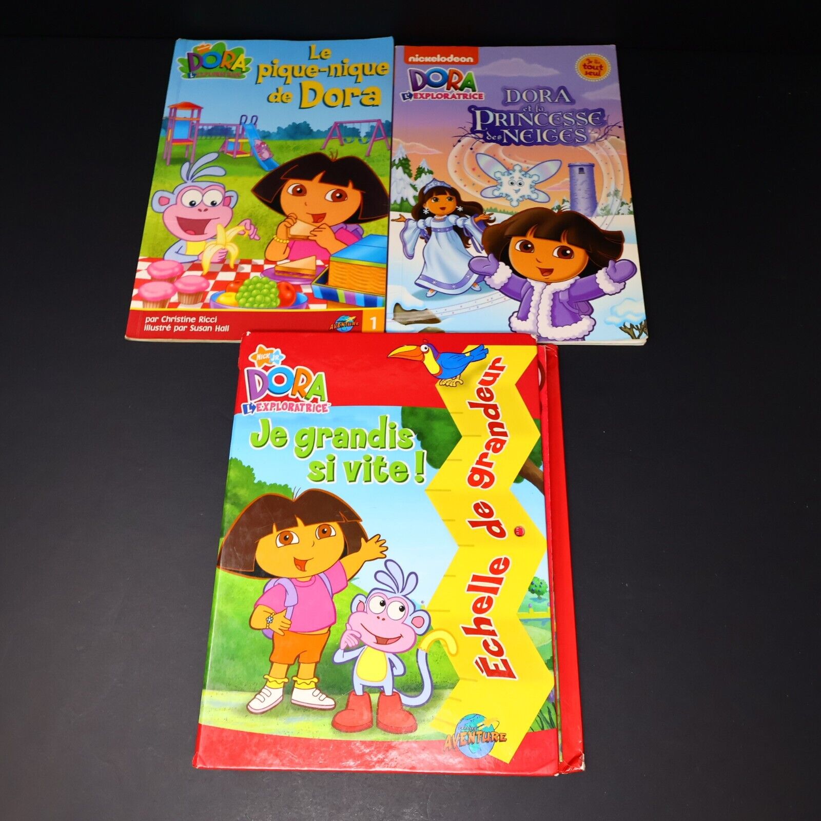 Lot 6 Livres Dora l'Exploratrice Français French Enfants Le Pique-Nique de Dora