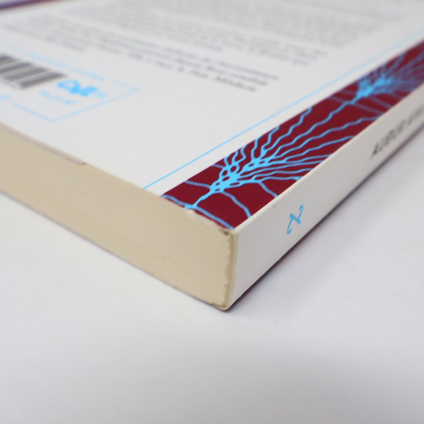 La vérité sur la lumière Audur Ava Ólafsdóttir 2021 Français/French Edition