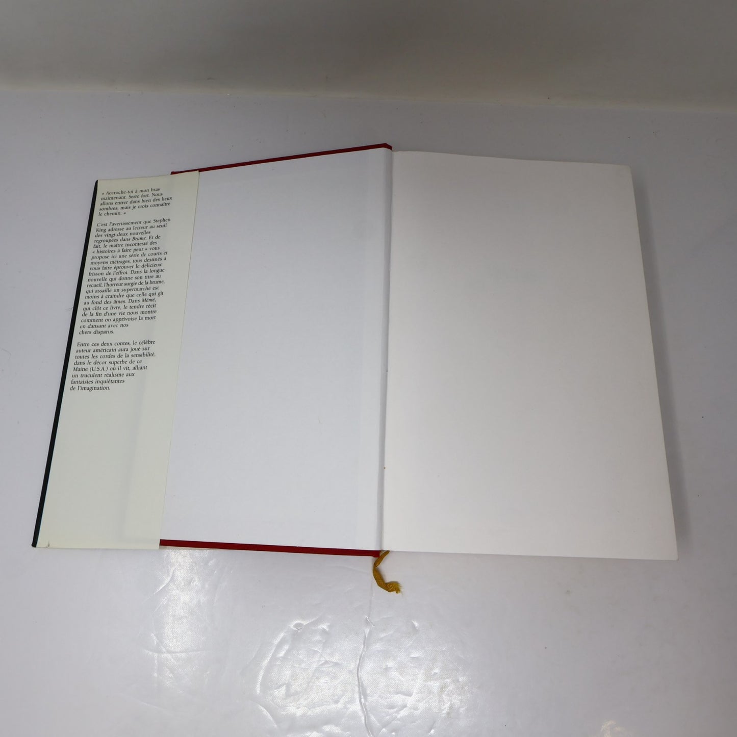 Brume Stephen King France Loisirs 1994 HC DJ Français/French Horreur Thriller