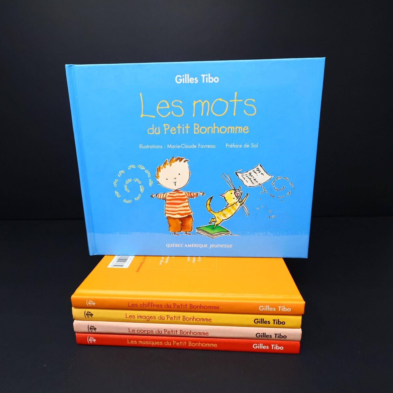 Lot 5 Livres Petit Bonhomme Gilles Tibo Série Complète Enfants Mots Français HC