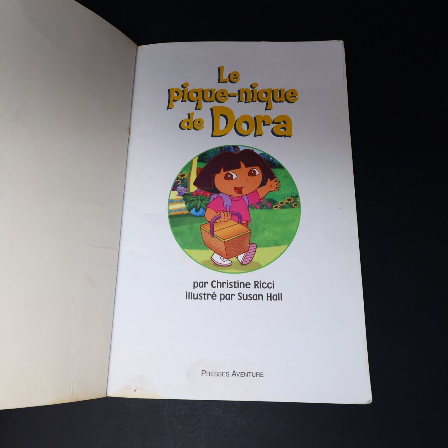 Lot 6 Livres Dora l'Exploratrice Français French Enfants Le Pique-Nique de Dora