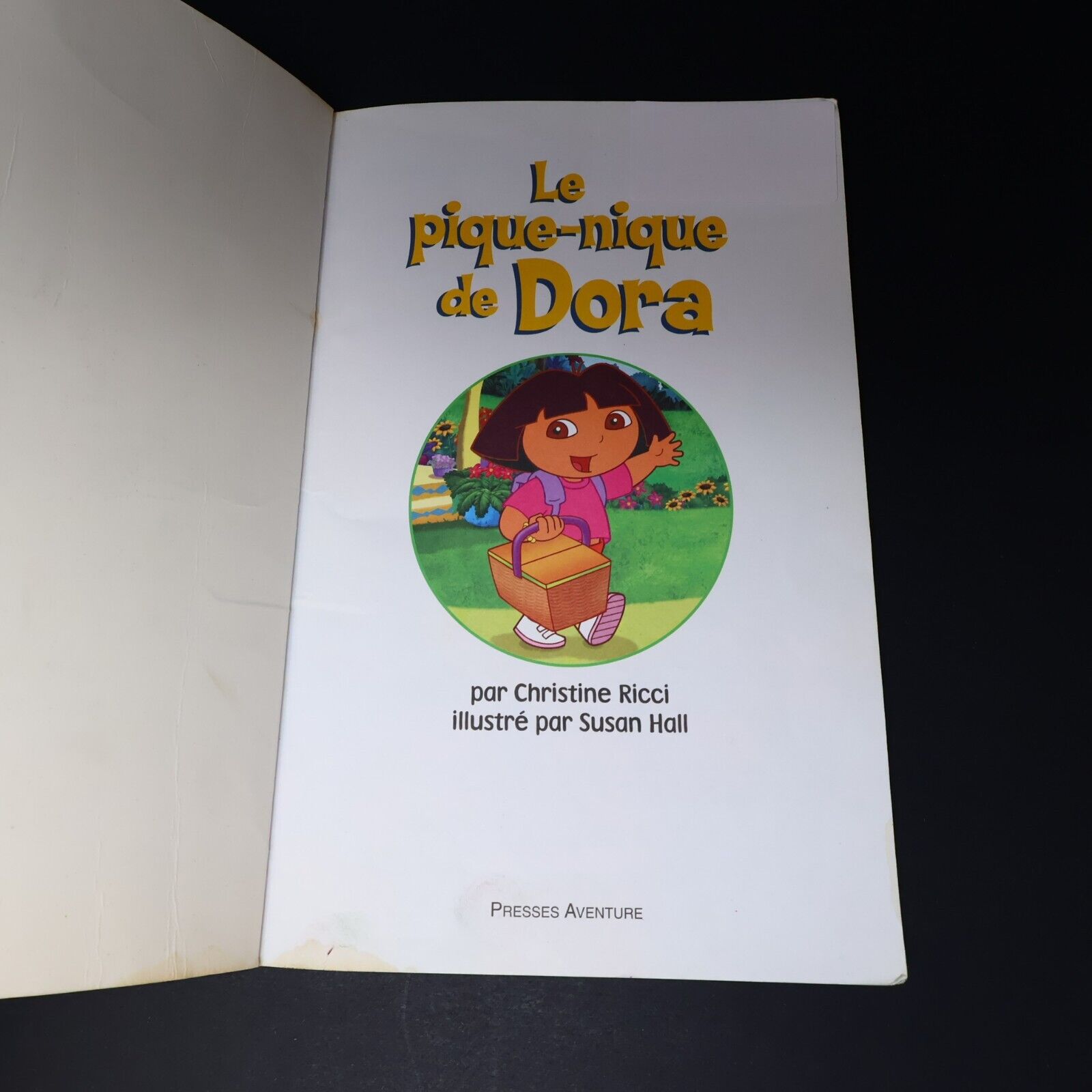 Lot 6 Livres Dora l'Exploratrice Français French Enfants Le Pique-Nique de Dora