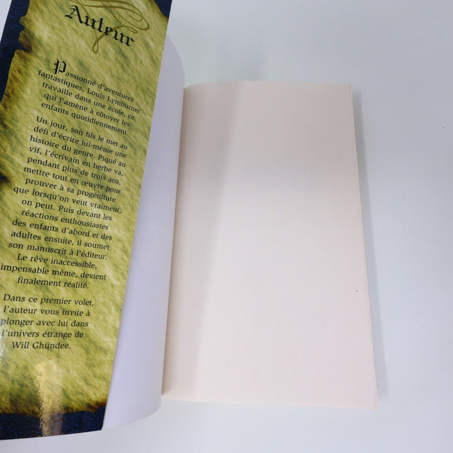 Lot 7 Livres Will Ghündee #1-7 Louis Lymburner Michel Quintin Fantasy Français