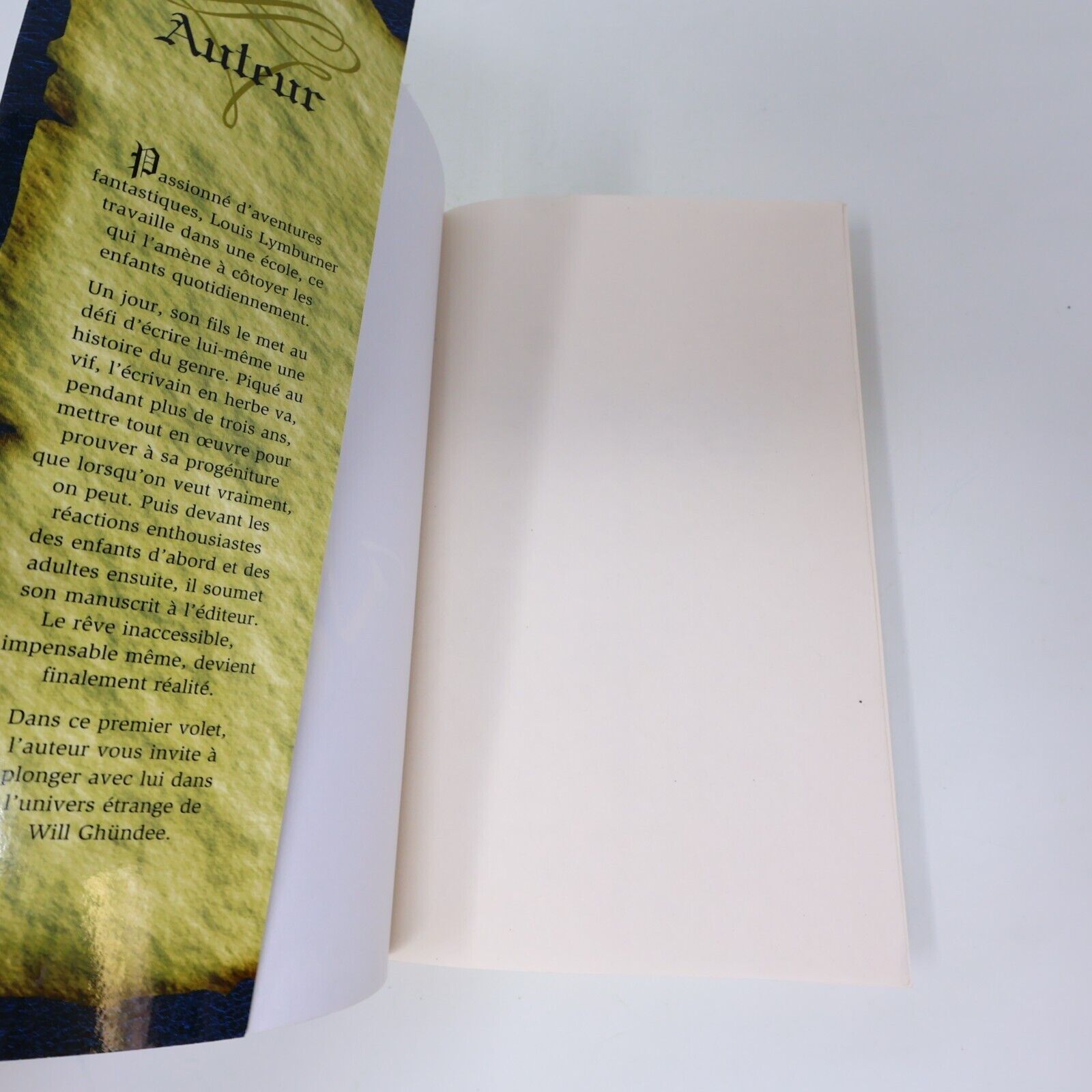 Lot 7 Livres Will Ghündee #1-7 Louis Lymburner Michel Quintin Fantasy Français