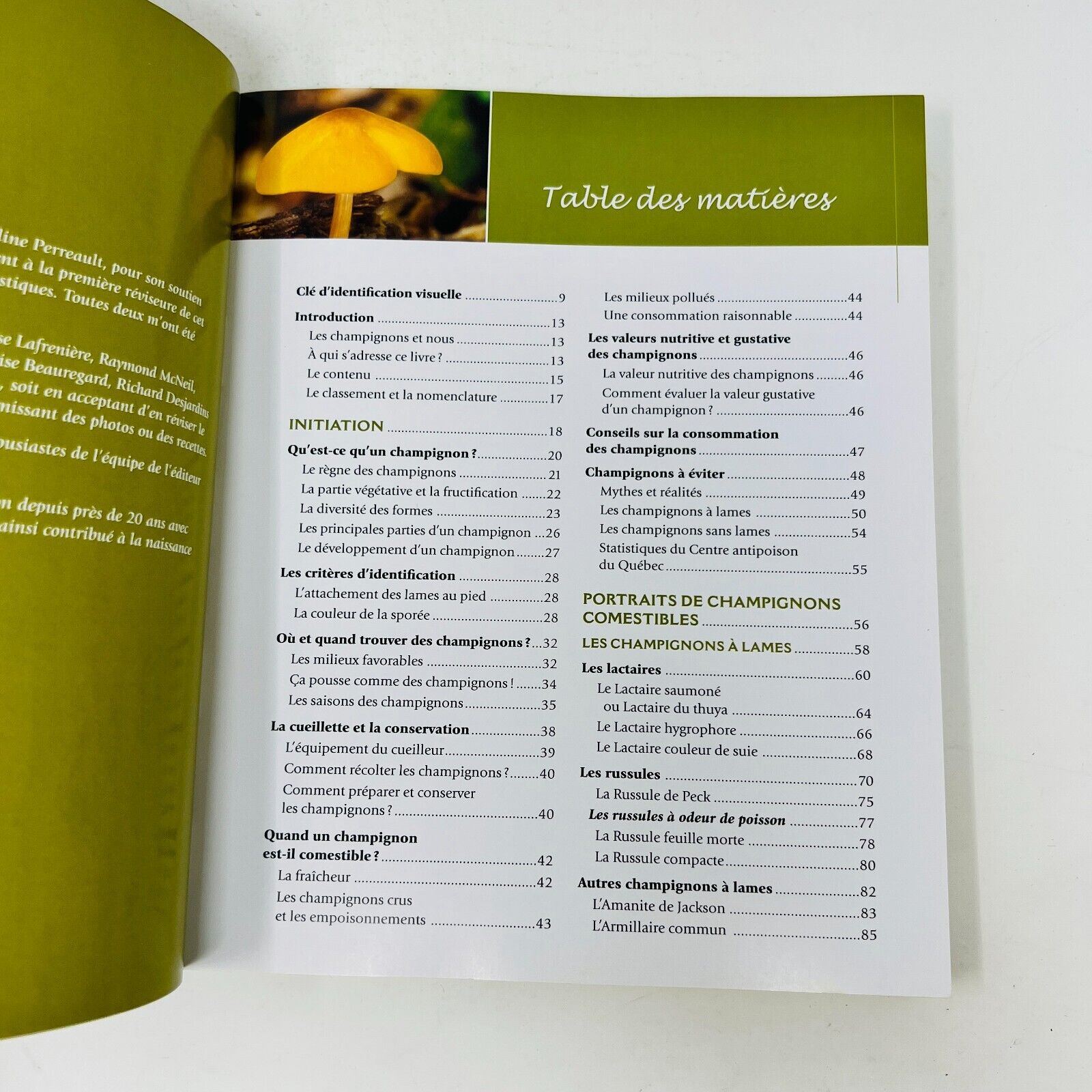 2008 Champignons Comestibles du Québec de Jean Després Français Identification