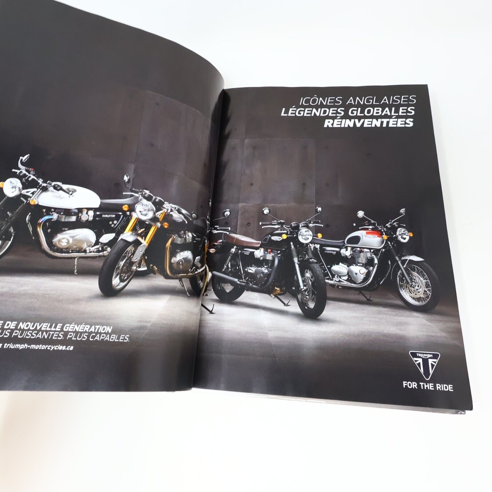 2016 Le Guide de la Moto 2016-17 la Bible des Motocyclistes Bertrand Gahel Livre