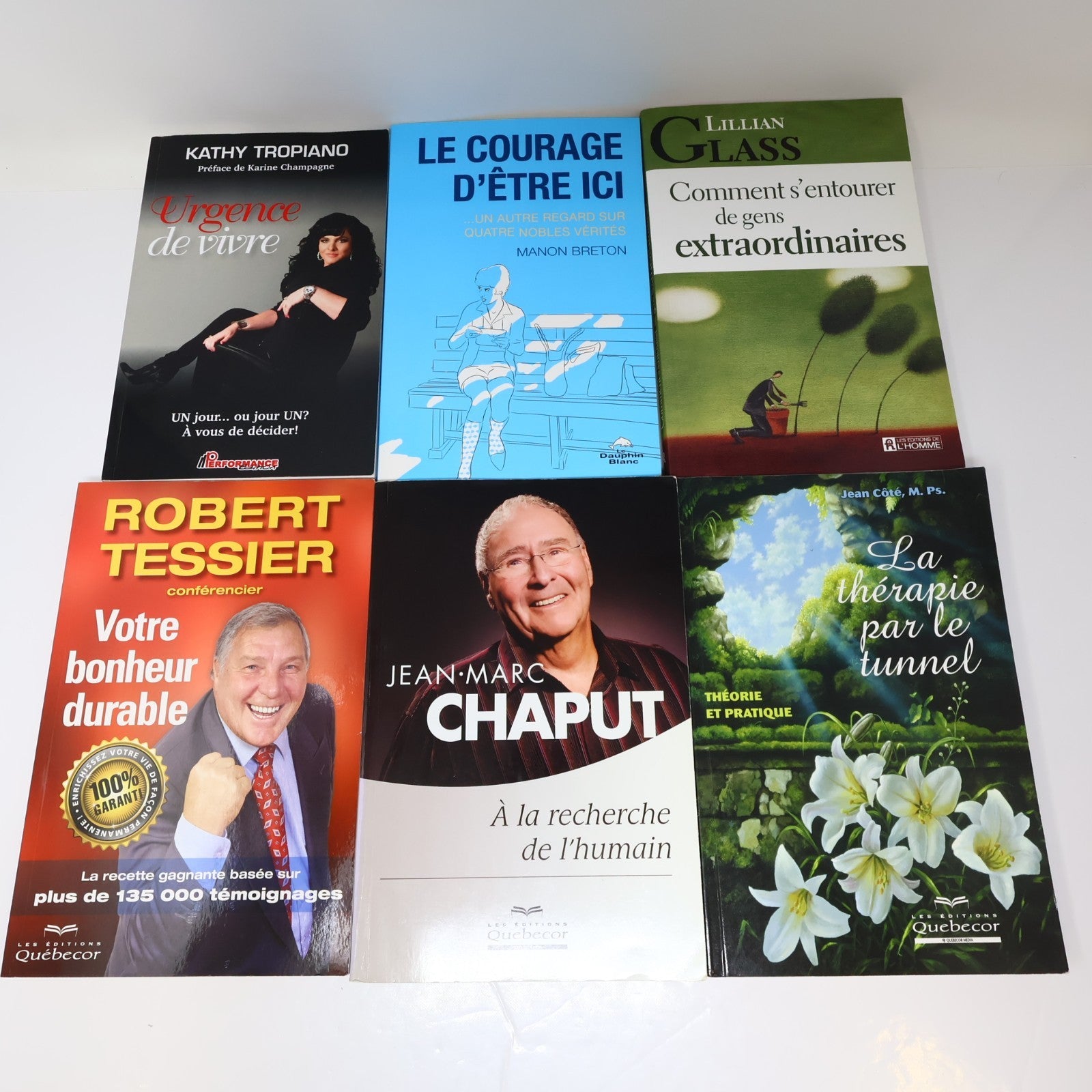 Développement Personnel Santé Mentale Psychologie Lot 10 Livres Français French