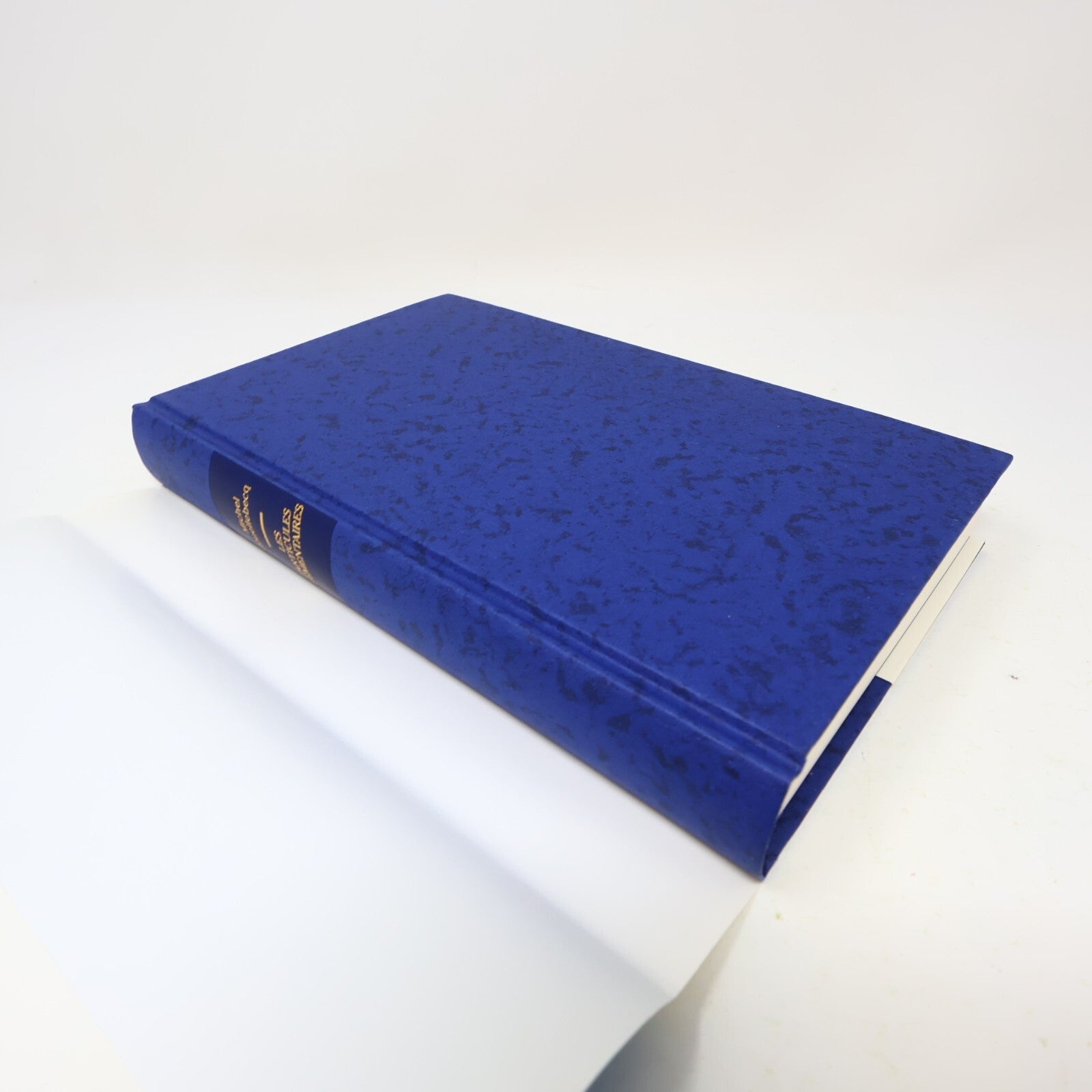 Michel Houellebecq Lot 2 Livres Les Particules Élémentaires/Plateforme Français
