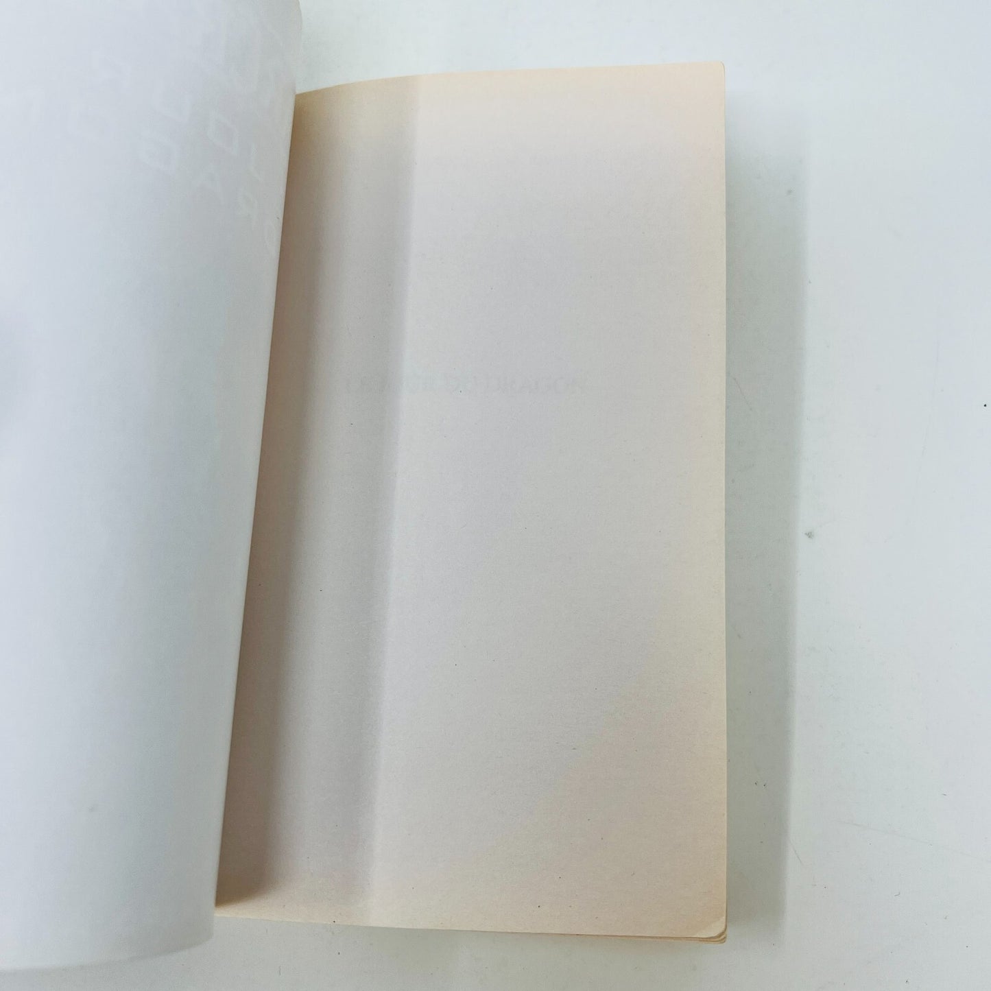 Warcraft Lot 3 Livres Le Jour du Dragon/Chef de Rébellion Français Fleuve Noir