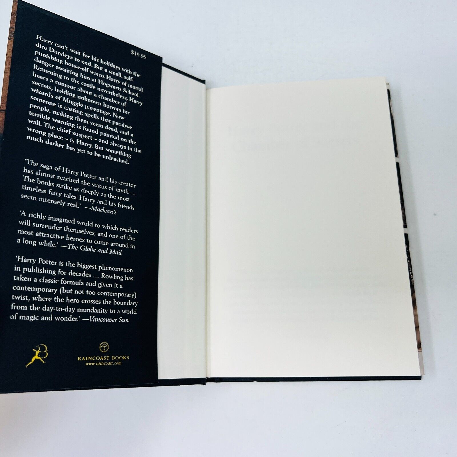 Harry Potter and the Chamber of Secrets Rowling Raincoast Black Cover 1st Print
