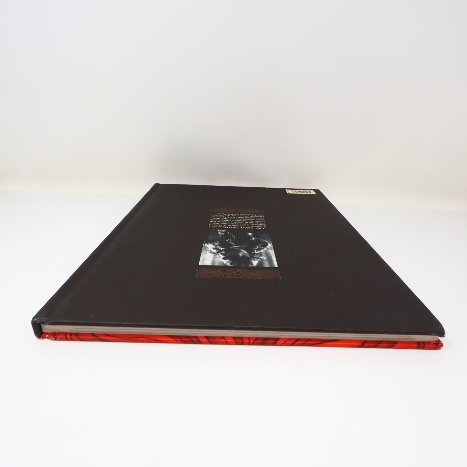 La Casati la Muse Égoïste Vanna Vinci Dargaud 2013 HC Français French Bd 2010s