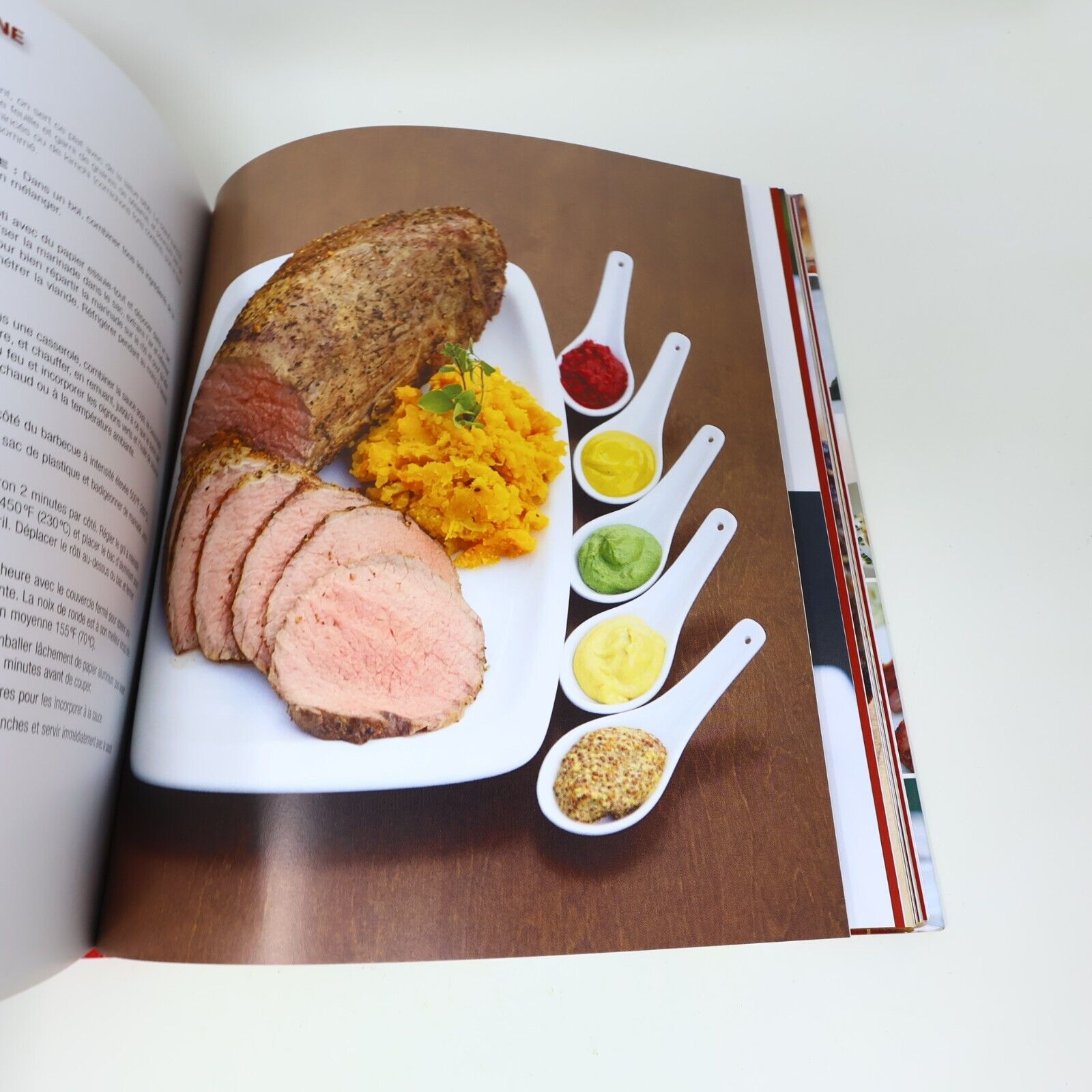 2009 Le Guide du Barbecue Napoléon Ted Reader Gril Cuisine Recettes Broquet HC