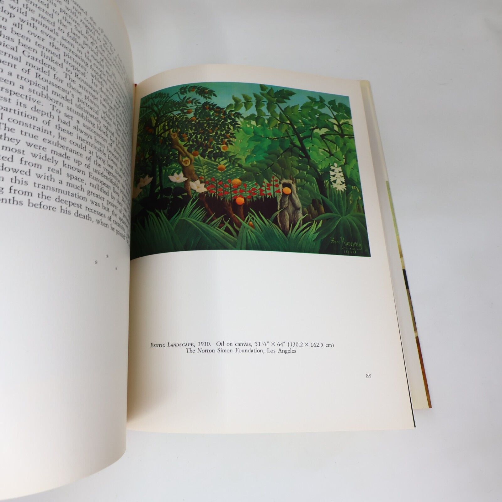 1979 Henri Rousseau The Douanier a File Artist's Monograph by Dora Vallier Book