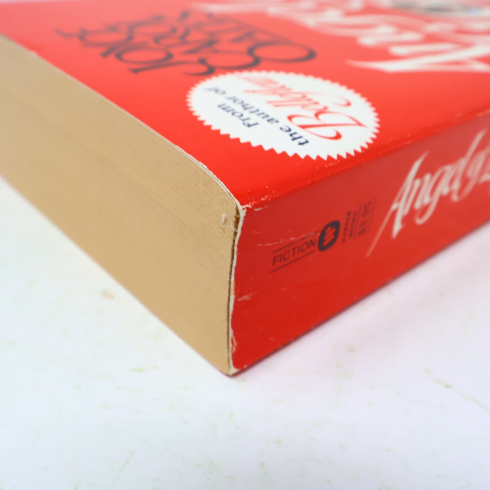 1982 Angel of Light Joyce Carol Oates Warner Historical Fiction Thriller Book PB