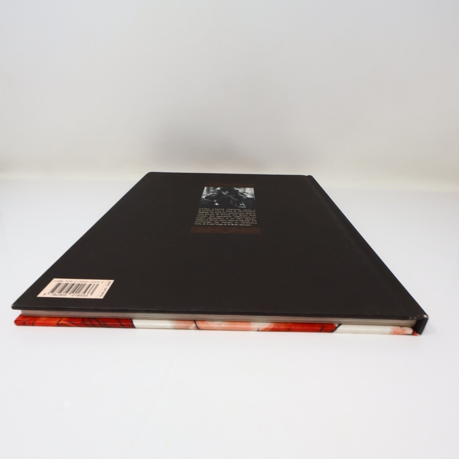 La Casati la Muse Égoïste Vanna Vinci Dargaud 2013 HC Français French Bd 2010s