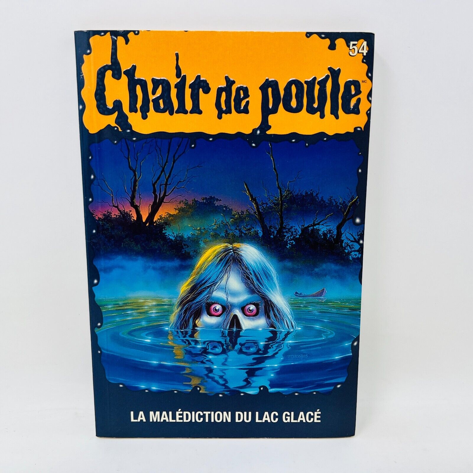 1998 Chair de Poule #54 La Malédiction du Lac Glacé Goosebumps Français RL Stine