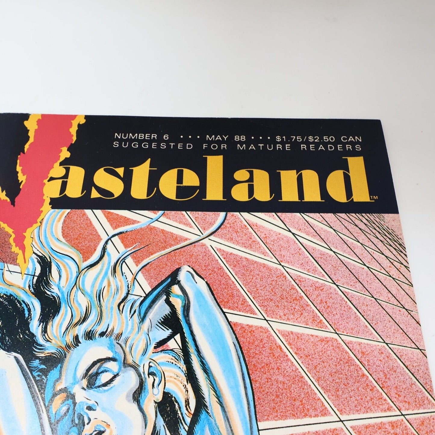Lot 2 Comics Wasteland #6, 10 Del Close/John Ostrander/David Lloyd DC 1980s