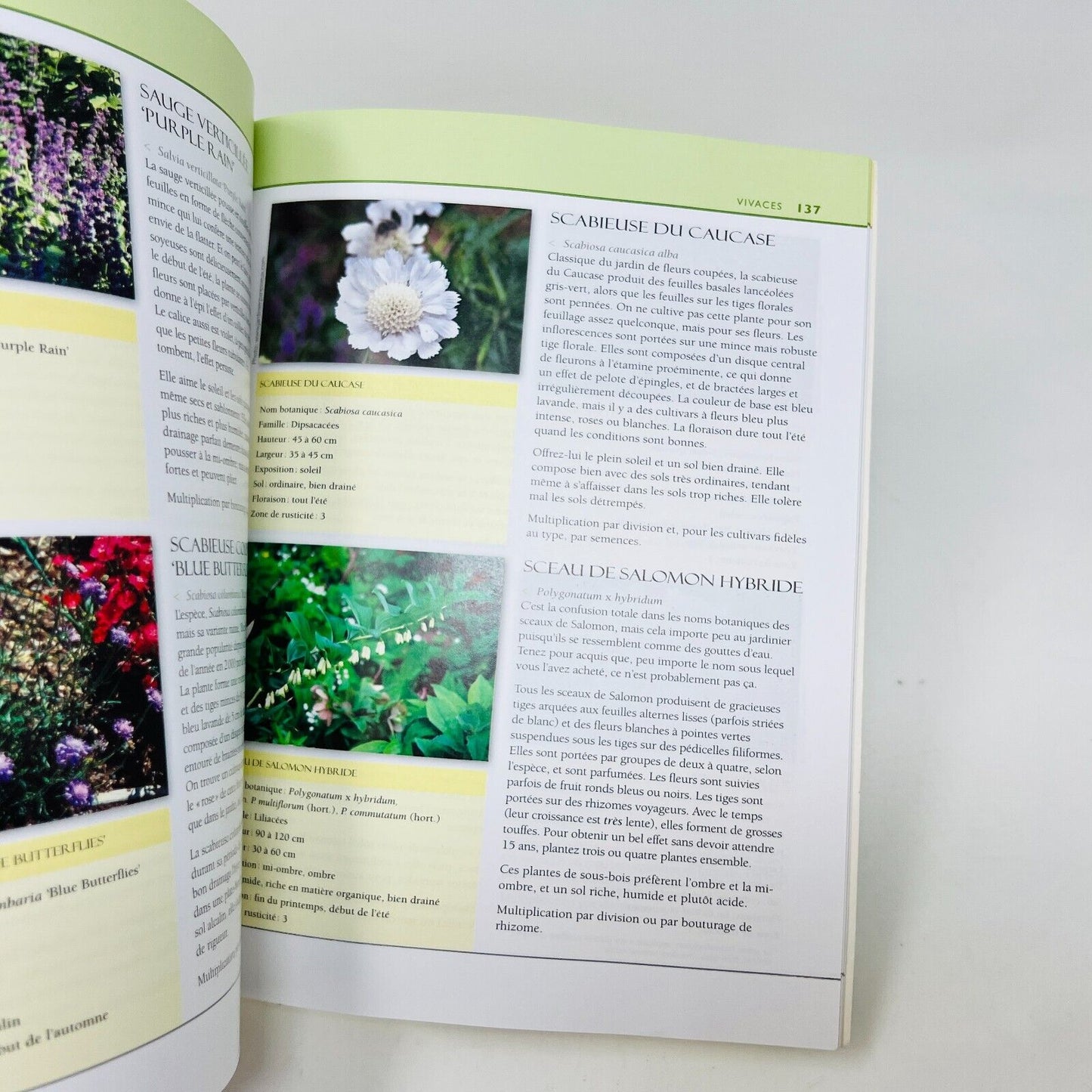 2007 Vivaces Les Idées du Jardinier Paresseux de Larry Hodgson Livre Broquet