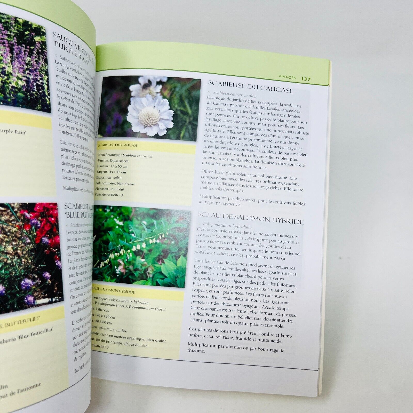 2007 Vivaces Les Idées du Jardinier Paresseux de Larry Hodgson Livre Broquet
