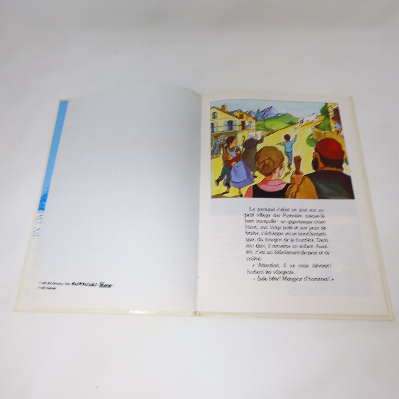 Lot 10 Livres Enfants Vintage Goldorak Belle et Sébastien Richard Scarry French