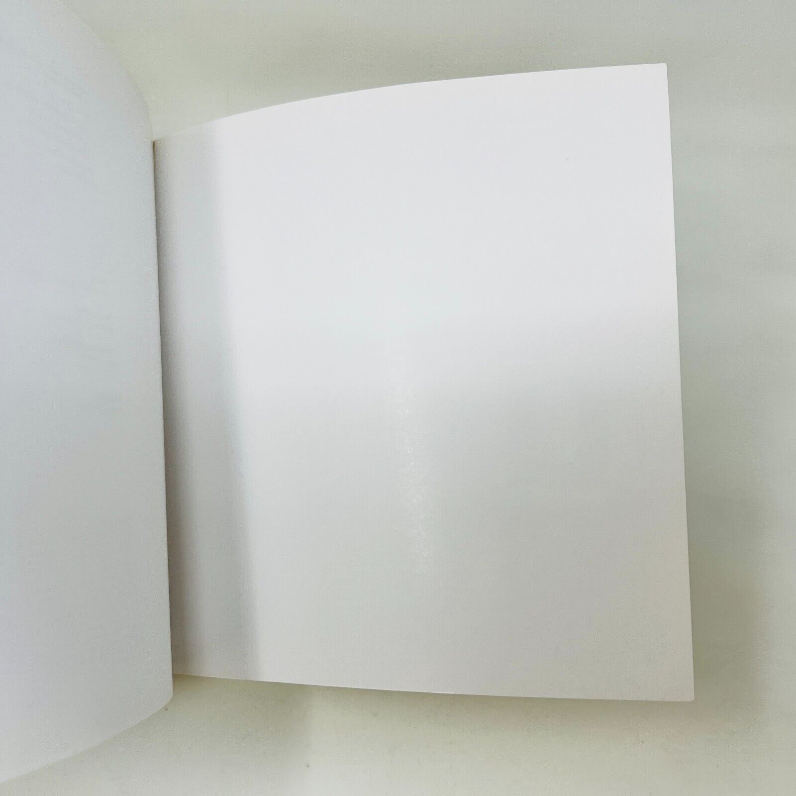 2007 Cuisine de Tarzile de Sylviane Beauregard Livre Recettes La Presse Français
