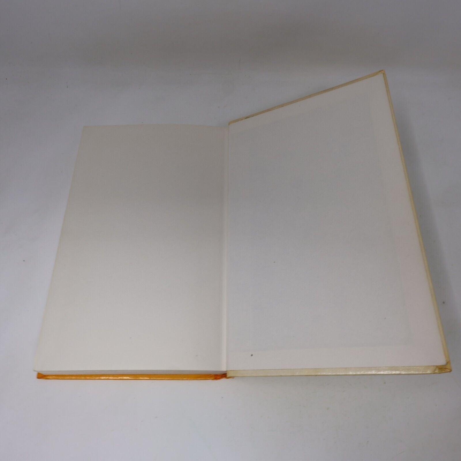 1981 Cheesemaking Practice by R. Scott Cookbook Science Hardcover HC 80s