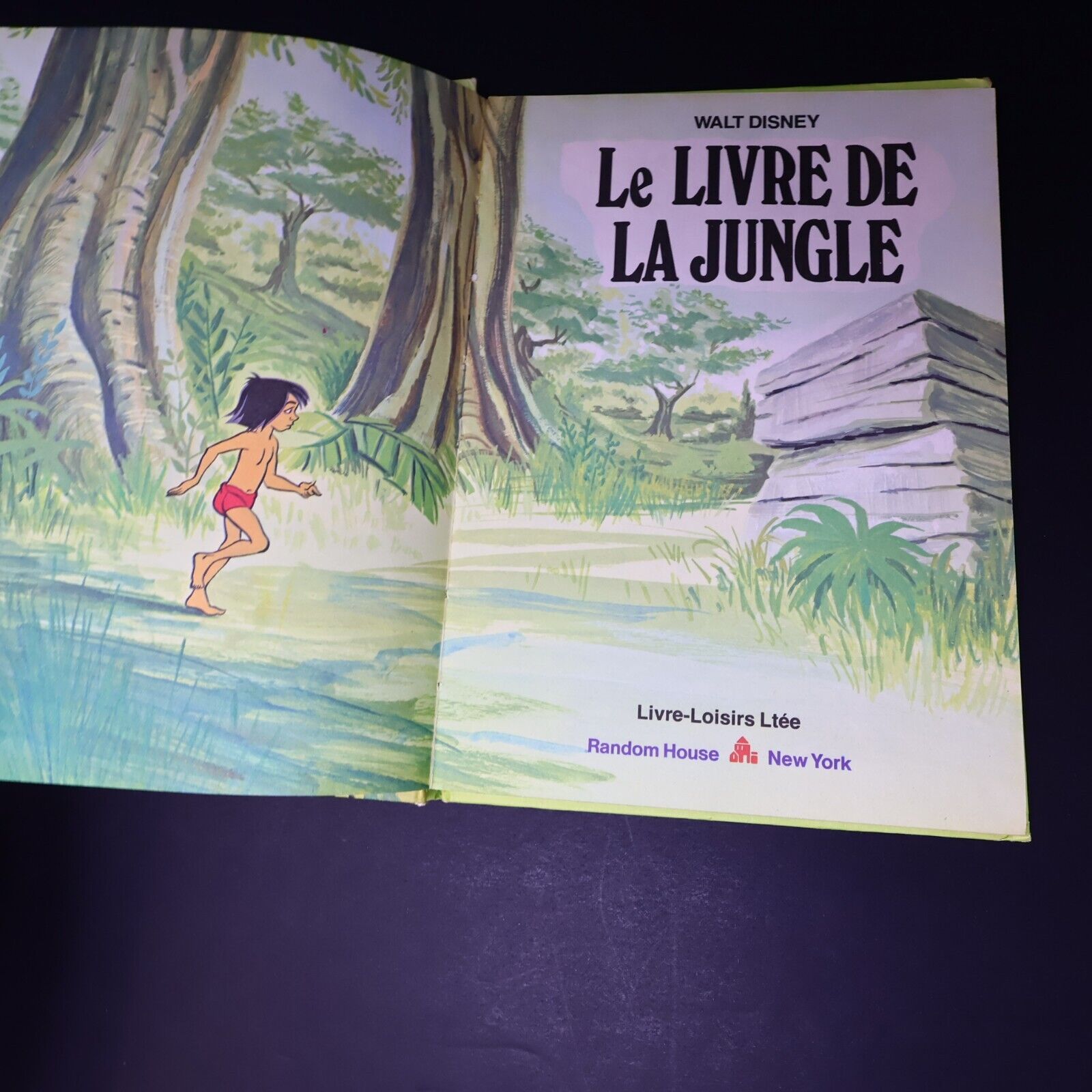 Lot 16 Livres Les Livres Merveilleux de Disney Enfants Livre Loisirs Français HC