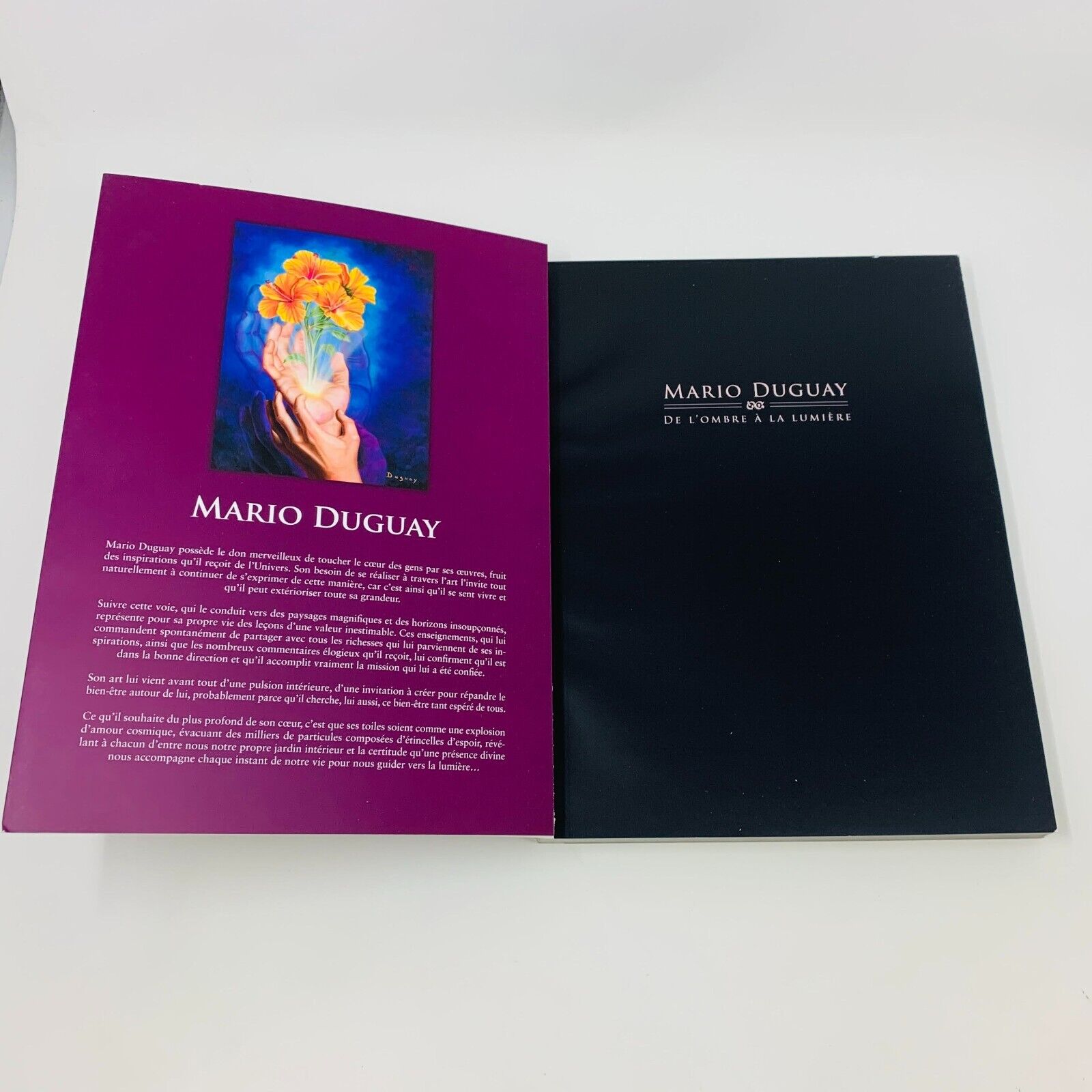 2012 Mario Duguay De l'Ombre à la Lumière Illustrations Peintures Français Livre