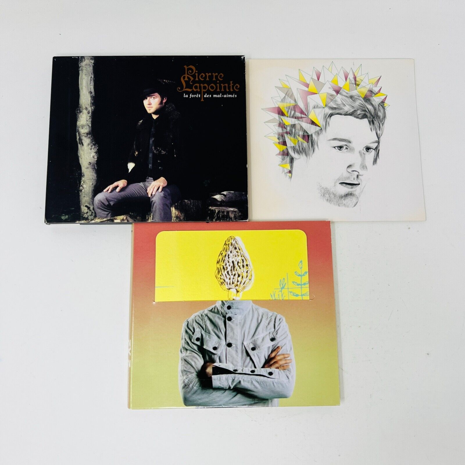 3x Pierre Lapointe CD La Forêt des Mal-Aimés/2 X2/Les Vertiges d'en haut Lot Set