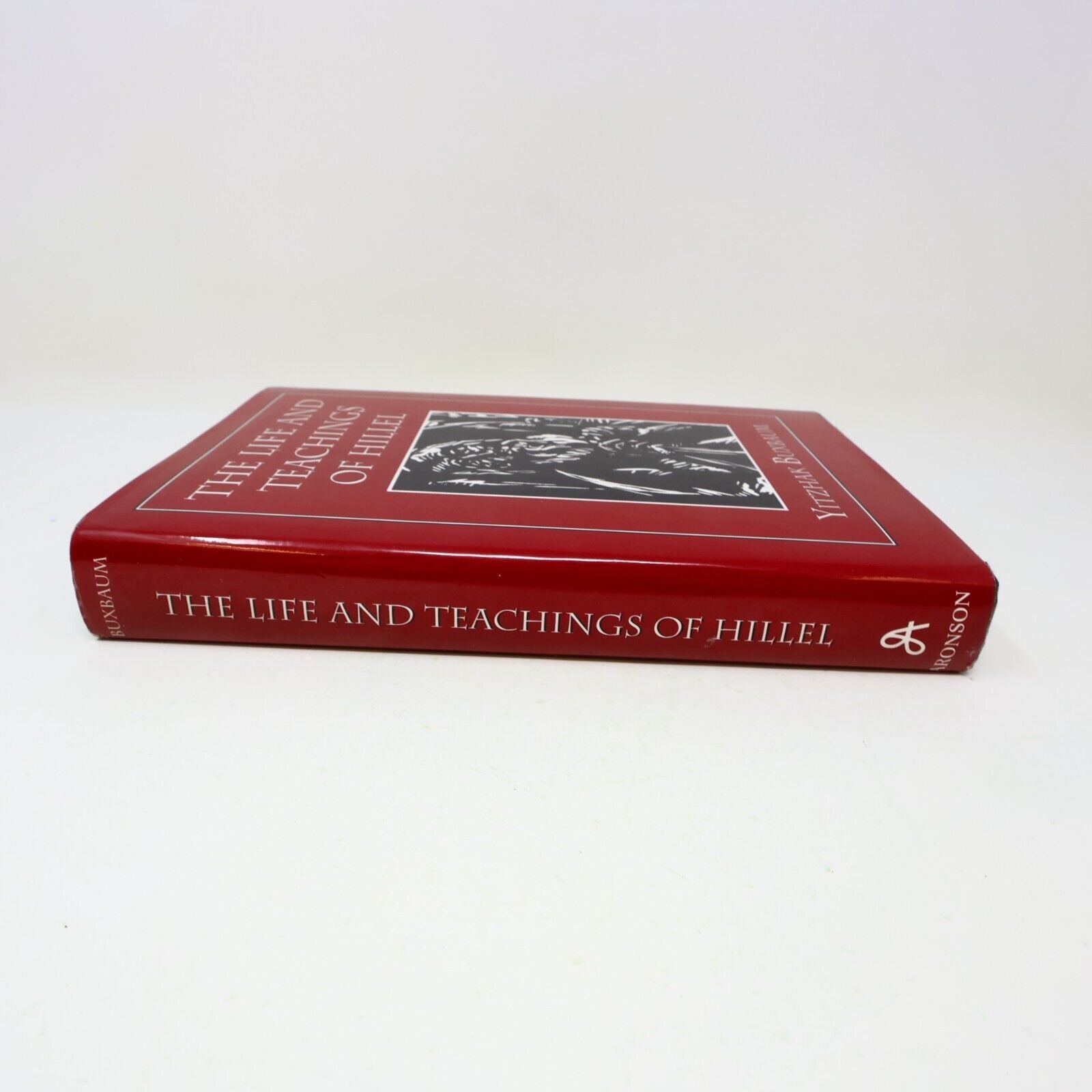 1994 The Life and Teachings of Hillel Yitzhak Buxbaum 1st Print Hardcover HC 90s