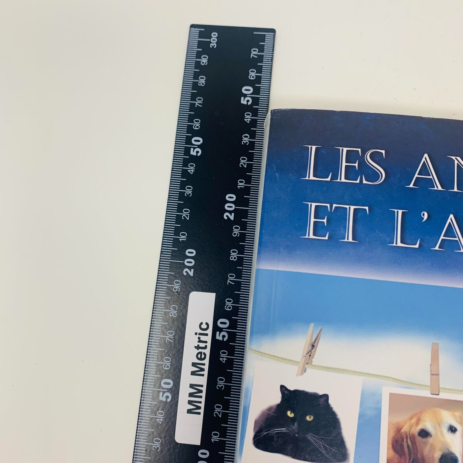 2007 Les Animaux et l'Au-Delà de Kim Sheridan Vie Mort Chat Chien Français Ada