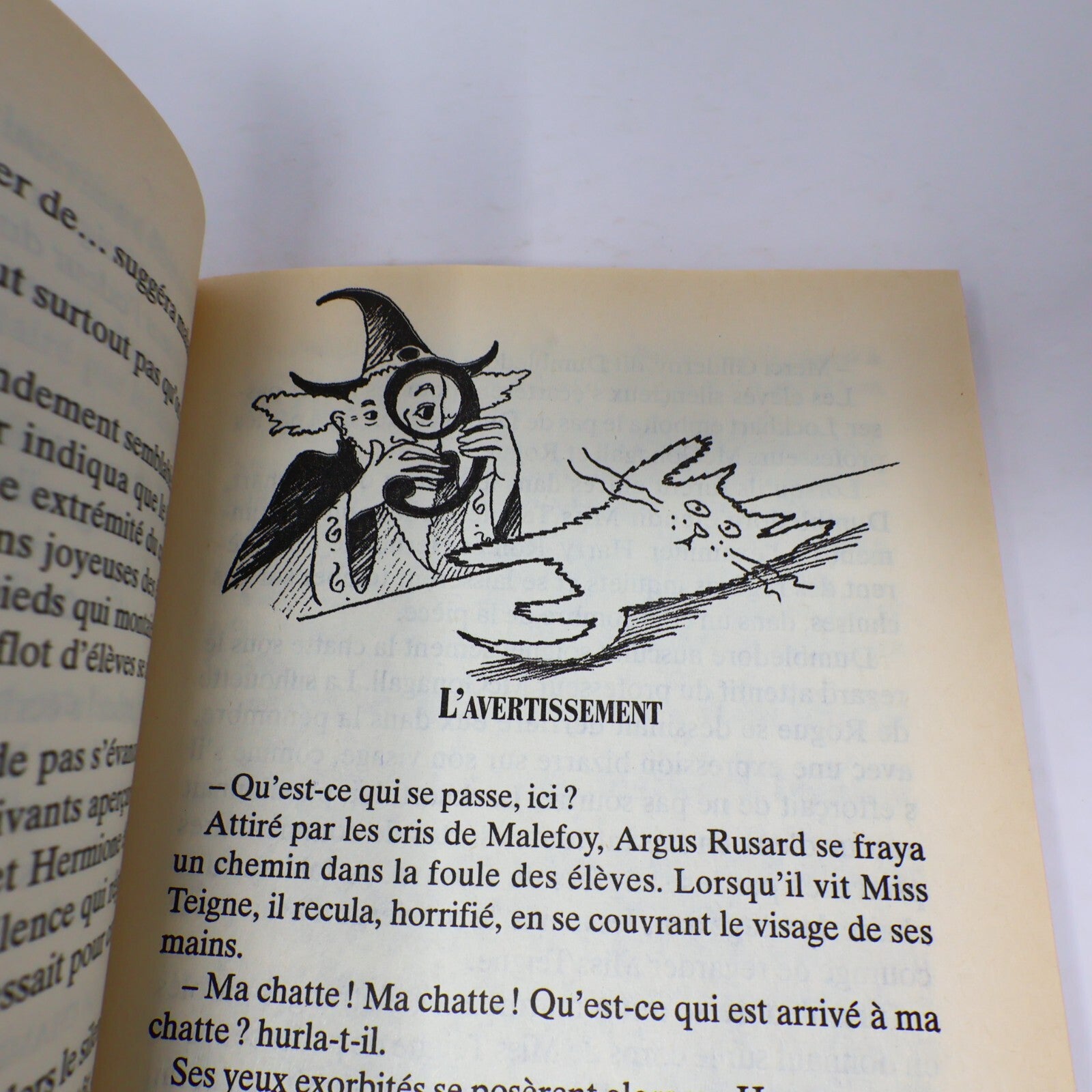 Harry Potter et la Chambre des Secrets Livre Première Édition Illustrée Mar 1999