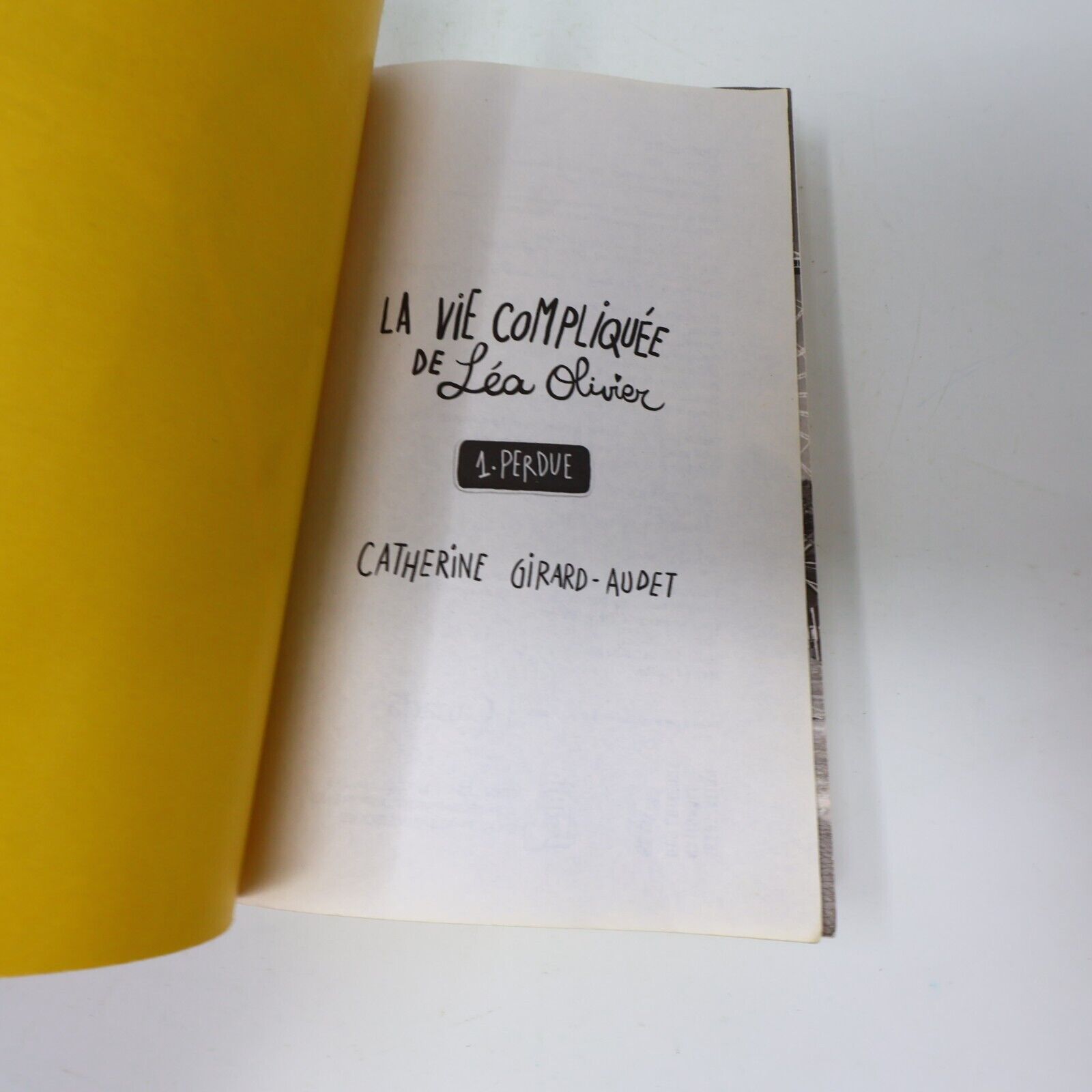 Lot 16 Livres La Vie Compliquée de Léa Olivier Catherine Girard-Audet Français