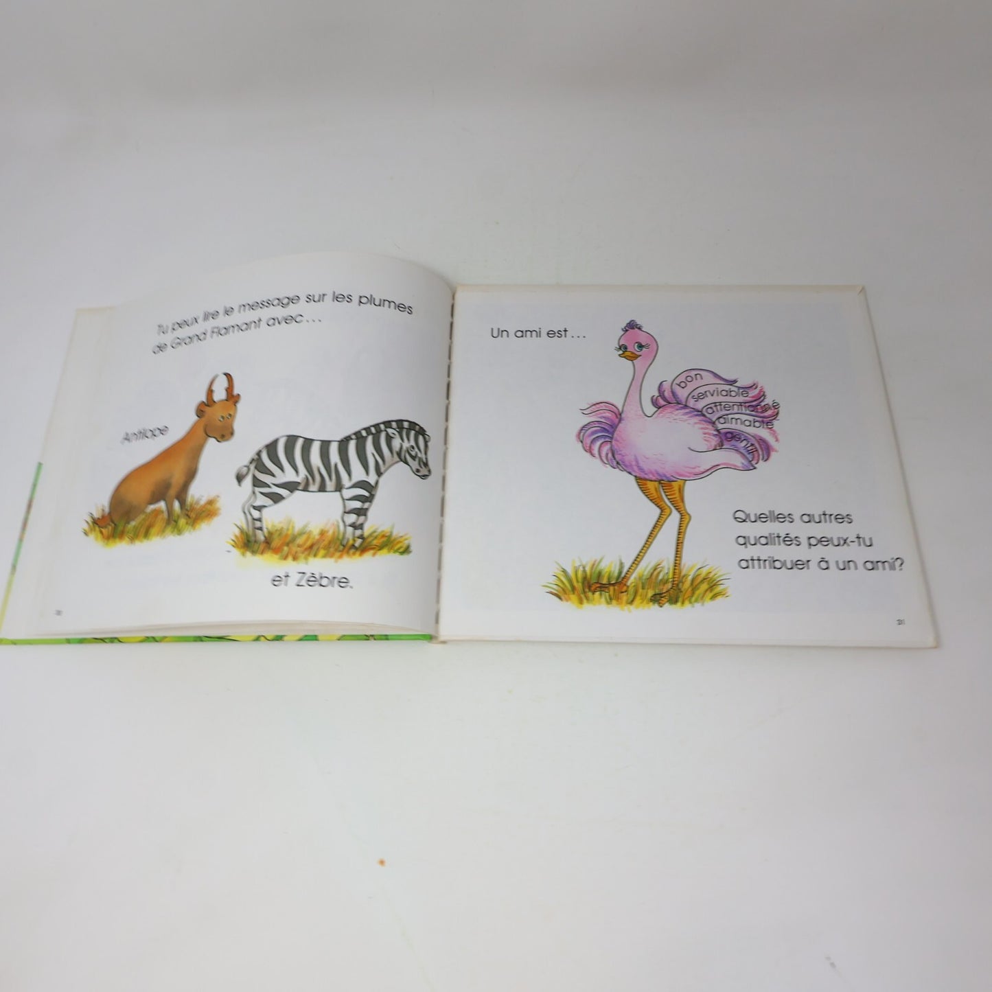 Lot 14 Le Château Magique du Livre Jane Belk Moncure Livres Enfants Français 80s