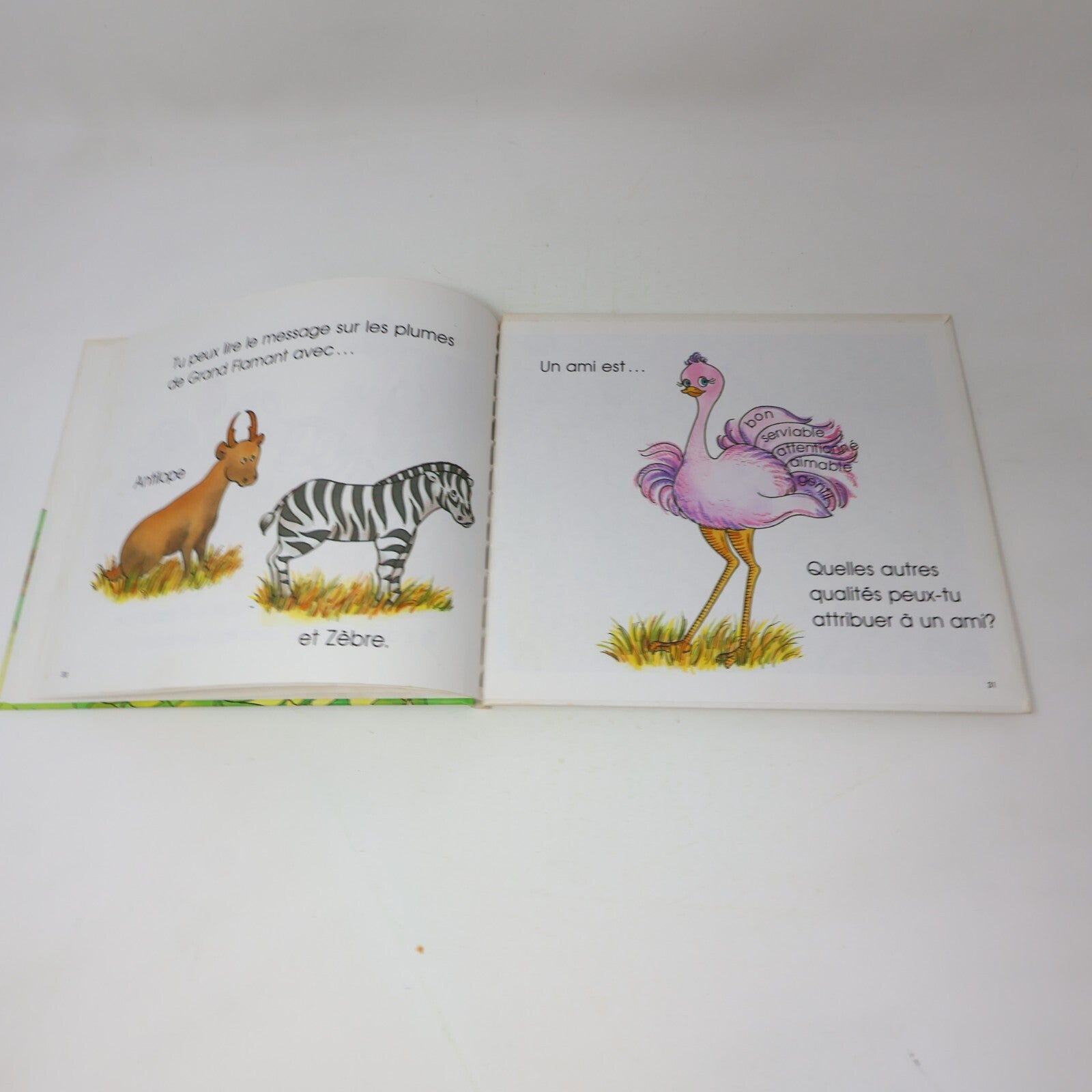 Lot 14 Le Château Magique du Livre Jane Belk Moncure Livres Enfants Français 80s